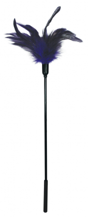 Бдсм и фетиш sportsheets