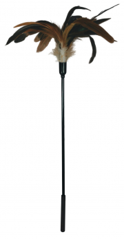 Бдсм и фетиш sportsheets