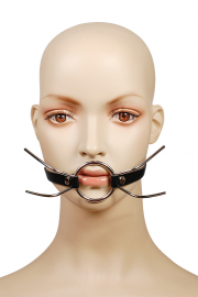 Кляпы, ошейники пикантные штучки