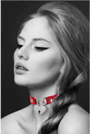 Кляпы, Ошейники