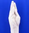 Имитатор руки THE HAND photo 2