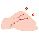 Мастурбатор-попка Kokos Big Hip Hera 2WayPlus с вибрацией и массажем, два входа: вагина и попка photo 4