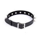 Шипастый ошейник photo 3