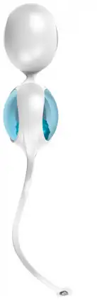 OVO - Вагинальные шарики OVO L1 Loveballs, LIGHT BLUE photo 2