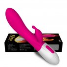 Вибратор с подогревом Leten Female Vibrator (аккумулятор 3.7V) photo 3